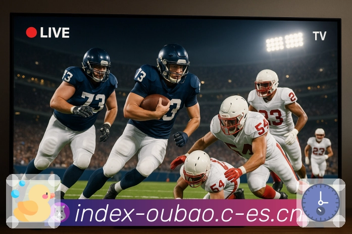 欧宝体育客服支持